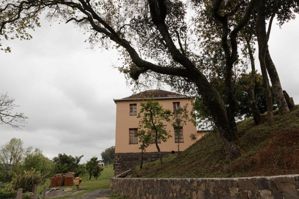 Vinsanto Bento Goncalves
